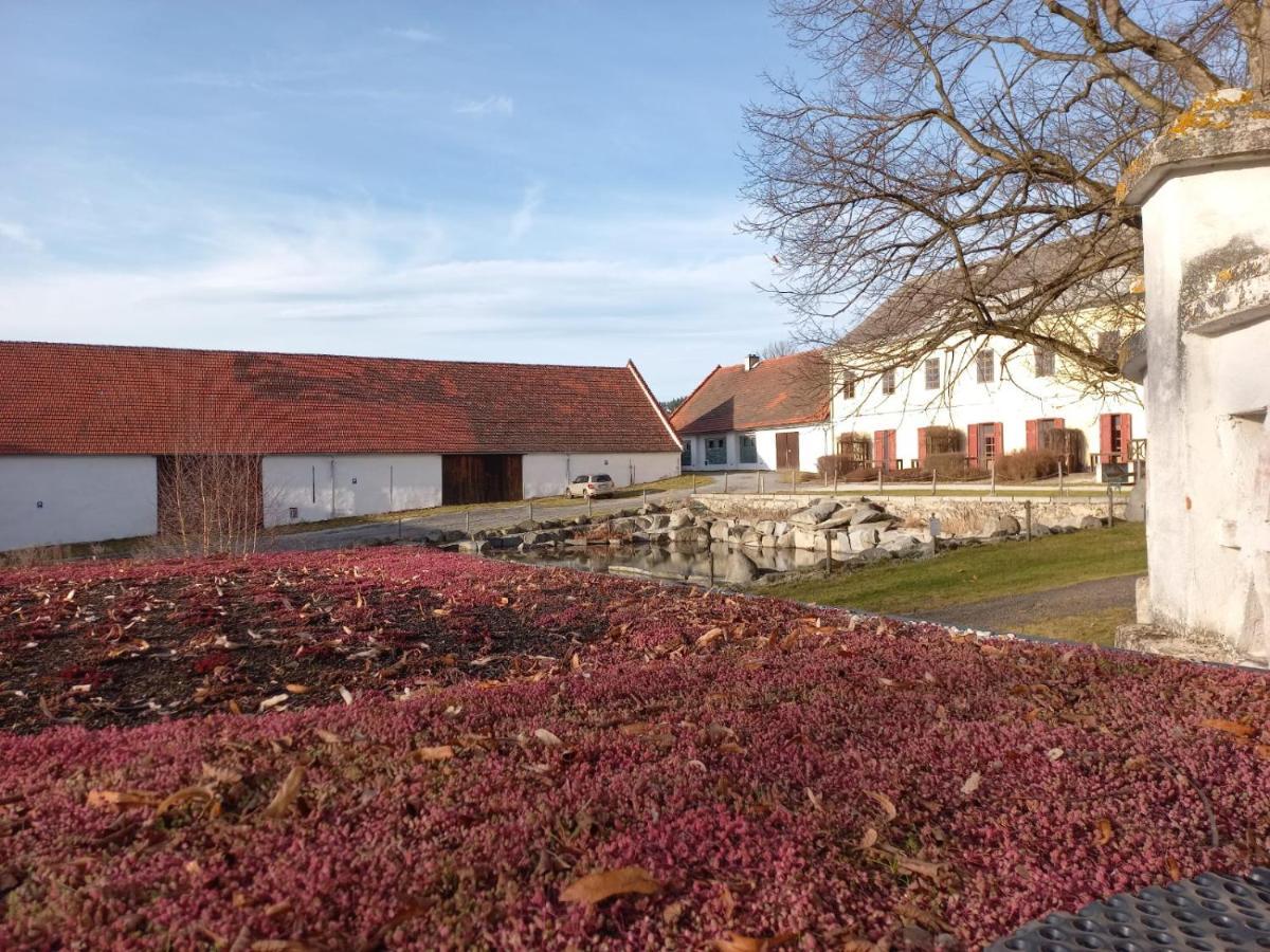 Holidaypark Mlazovy Kolinec Eksteriør billede
